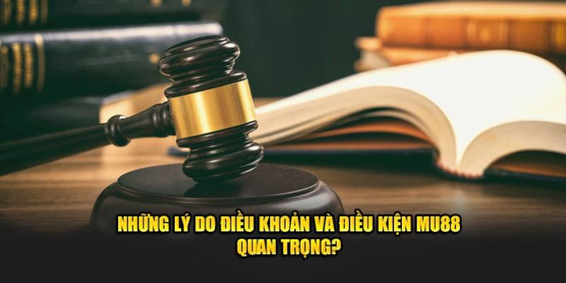 dieu-khoan-va-dieu-kien-mu88-1