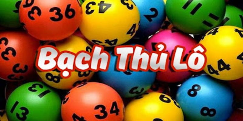 Lô bạch thủ để hội viên tìm ra con lô đúng